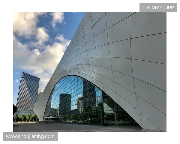 皇冠体育平台注册流程详解，帮助新手快速上手体验高效便捷的体育娱乐体验