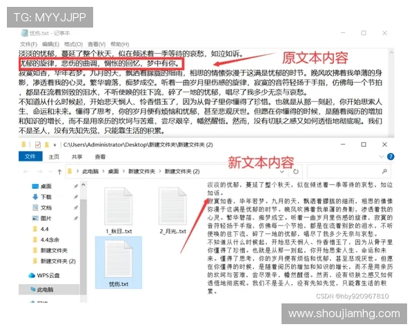 如何快速找到皇冠手机的官方地址，确保您的操作安全无虞