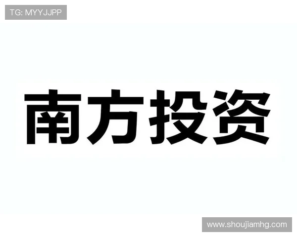 新濠博亚娱乐：揭示公司财务表现及投资回报分析报告