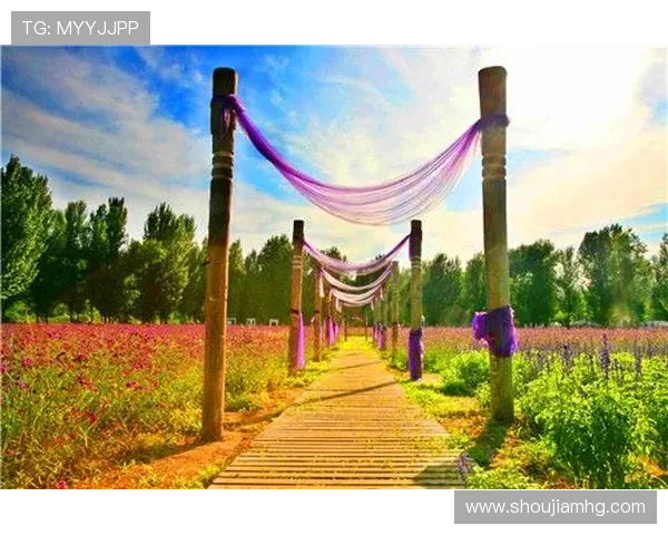 皇冠注册登录入口官方网站入口访问方式详解及安全保障措施 皇冠注册登录入口官方网站入口访问方式详解及安全保障措施